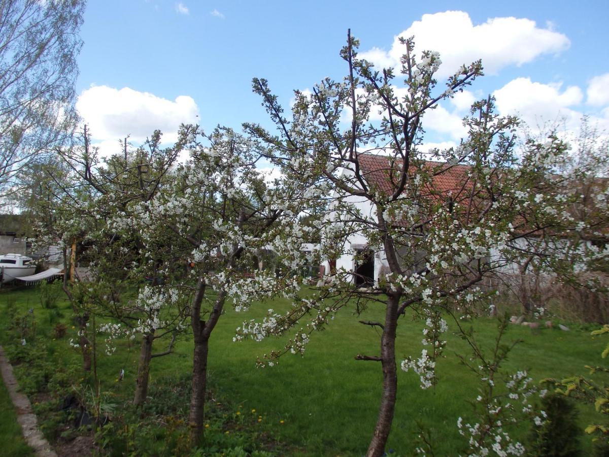 Krakowskie Mazury Gradzkie  외부 사진