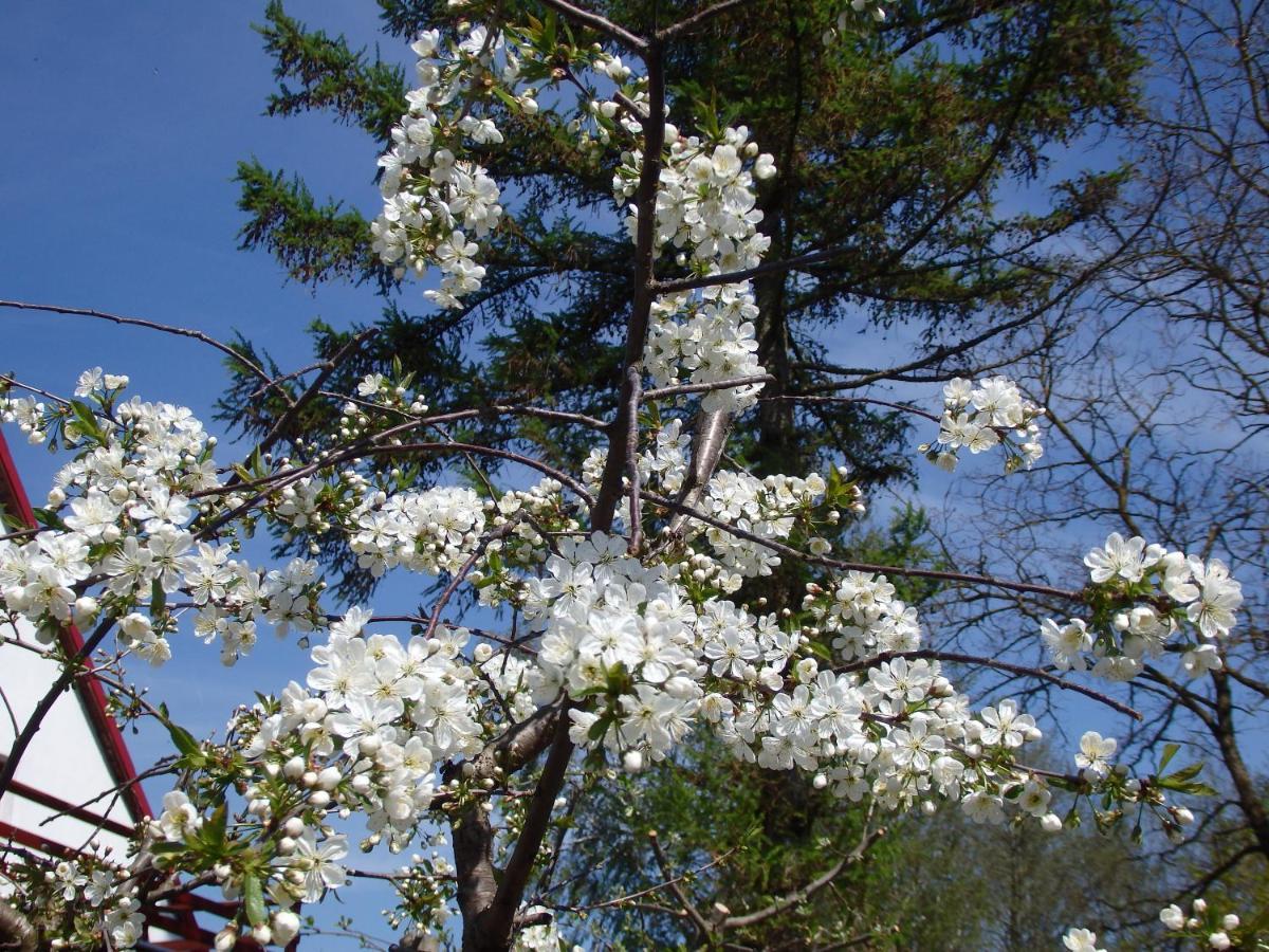 Krakowskie Mazury Gradzkie  외부 사진