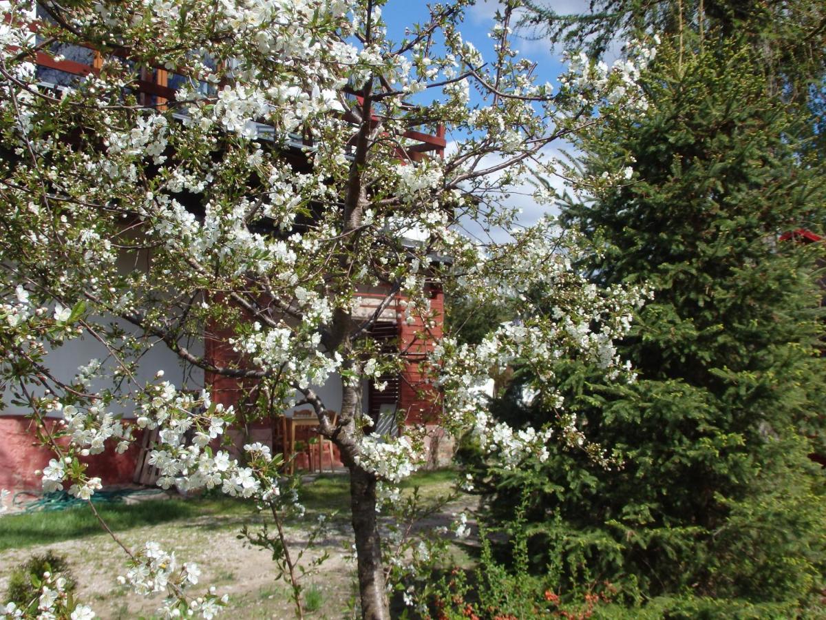 Krakowskie Mazury Gradzkie  외부 사진